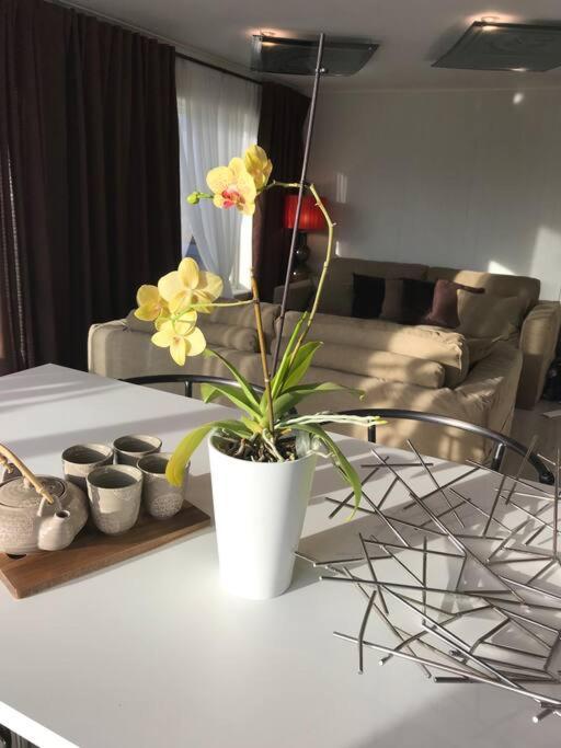 Topp Moderne Suite. Larvik Exterior foto